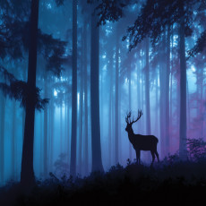 Papier peint photo : forêt, brouillard, cerf, nature, chambre à coucher, salon, papier peint intissé, 150 x 105