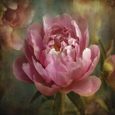 Papier peint photo « Grandes fleurs vintage » pour chambre à coucher ou salon, papier peint intissé