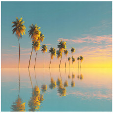 Papier peint photo palmiers plage paysage nature pour la chambre à coucher salon 400x280