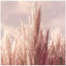 Papier peint photo 3D « Blé rose nature » pour les murs de la chambre ou du salon, 300 x 210 cm