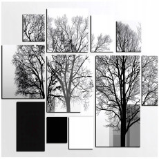 Papier peint photo arbre 3D abstraction forêt gris pour mur chambre salon 250x175