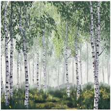 Papier peint 3D forêt de bouleaux arbres nature pour mur chambre salon 150x105