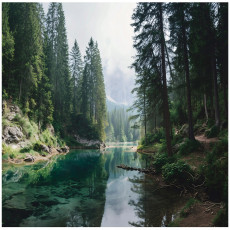 Papier peint photo forêt rivière nature paysage chambre salon papier peint intissé 150x105