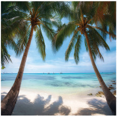 Papier peint photo plage 3D palmiers mer nature pour mur chambre salon 300x210