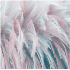 Papier peint photo plumes roses colorées pour chambre à coucher ou salon, papier peint mural 250 x 175