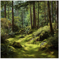 Papier peint photo forêt arbres nature chambre salon papier peint intissé 350x250