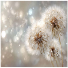 Papier peint abstrait avec des pissenlits pour chambre à coucher ou salon, intissé, 250 x 175 cm