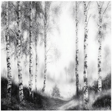 Papier peint photo forêt arbres noir et blanc chambre salon papier peint intissé 350x250
