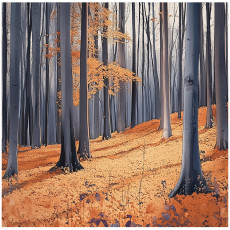 Papier peint photo forêt arbre nature chambre salon papier peint intissé 300x210