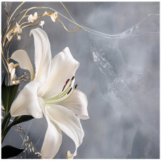 Papier peint photo fleurs abstraction lys chambre salon papier peint intissé 200x140