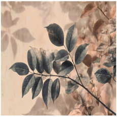 Papier peint photo feuilles nature arbre chambre salon papier peint intissé 200x140