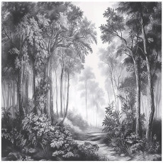 Papier peint forêt 3D noir et blanc chambre salon papier peint intissé 150x105