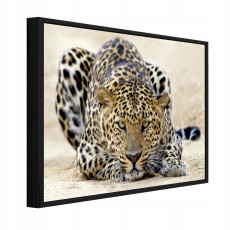Tableau dans un cadre noir sur toile lampard animaux salon chambre 40x30
