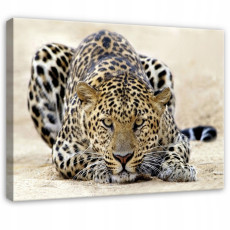 Tableau lampard animaux nature pour chambre à coucher salon sur toile 60x40
