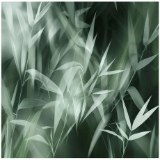 Papier peint abstrait feuilles chambre salon papier peint intissé 150x105