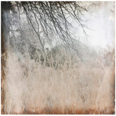 Papier peint abstrait rétro branches loft pour la chambre à coucher ou le salon 350x250