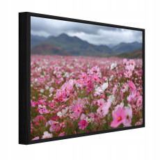 Tableau dans un cadre noir sur toile fleurs des champs nature salon chambre à coucher 40x30