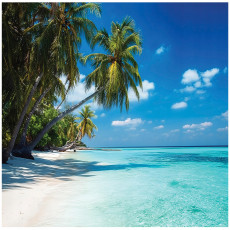 Papier peint plage palmiers mer paysage pour la chambre à coucher salon 400x280