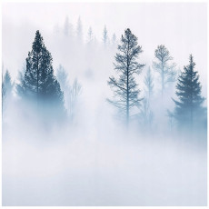 Papier peint forêt dans le brouillard arbre chambre salon papier peint intissé 200x140