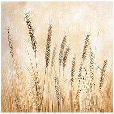 Papier peint boho champ beige nature chambre salon papier peint intissé 250x175