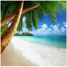 Papier peint plage mer palmiers pour chambre à coucher salon papier peint mural 250x175