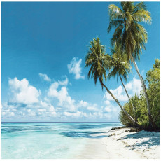 Papier peint plage mer palmiers paysage pour la chambre à coucher salon 400x280