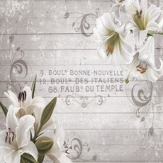 Papier peint photo : lys, blanc, gris, style vintage, bois, chambre à coucher, salon, papier peint intissé
