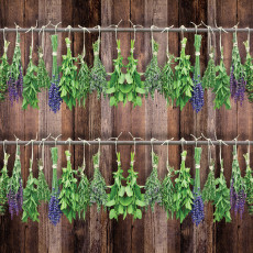Papier peint mural « Herbes et lavande » pour cuisine et salle à manger rustiques en bois foncé