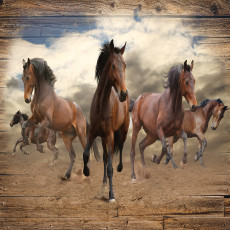 Papier peint mural « Chevaux au galop » - couleur bois brun - salon