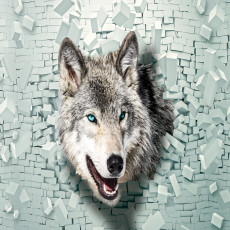 Papier peint mural 3D « Loup » pour salon avec mur en ruine