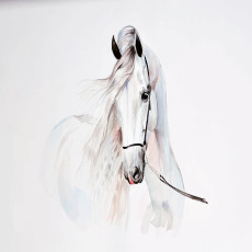 Papier peint mural représentant une tête de cheval arabe, blanc, pour le salon