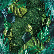 Papier peint mural « Feuilles tropicales et terre craquelée » pour le salon