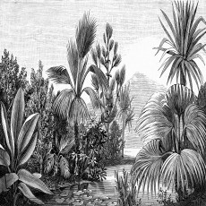 Papier peint mural vintage représentant des gravures de plantes tropicales pour le salon