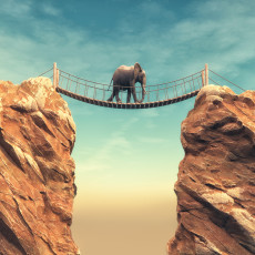 Papier peint mural « Pont de corde et éléphant » pour un salon surréaliste