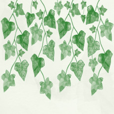 Papier peint mural « Feuilles de lierre » vert et blanc pour le salon
