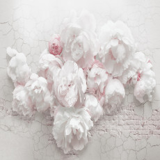 Papier peint 3D « Pivoines sur mur fissuré » pour le salon