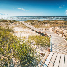 Papier peint mural : plage, promenade, dunes, mer, salon