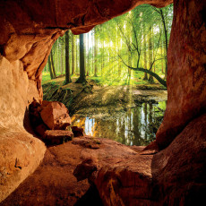 Papier peint mural « Ruisseau en forêt ensoleillée et grotte » pour le salon
