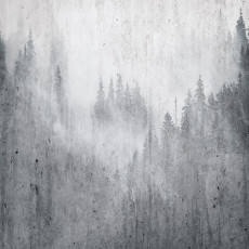 Papier peint mural « Forêt brumeuse » pour salon en béton