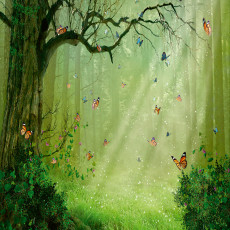 Papier peint « Forêt enchantée et papillons » pour le salon
