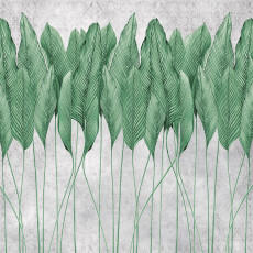 Papier peint mural « Feuilles de palmier » pour salon en béton