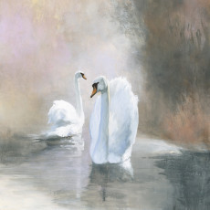 Papier peint mural « Cygnes sur un lac brumeux » pour le salon