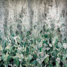 Papier peint mural « Feuilles de lierre sur fond béton » pour le salon