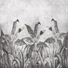 Papier peint mural « Feuilles de bananier sur fond béton » pour salon