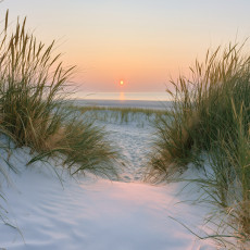 Papier peint mural « Coucher de soleil sur la plage et les dunes orange » pour le salon