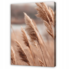Tableau « Herbe de la pampa beige » style bohème et nature pour la chambre ou le salon, sur toile, 40 x 30