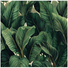 Papier peint photo feuilles jungle vert chambre à coucher salon papier peint intissé 200x140