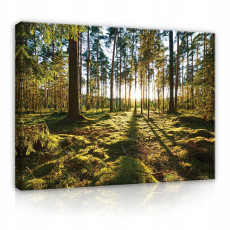 Peinture sur toile forêt arbres nature grand format 120x80