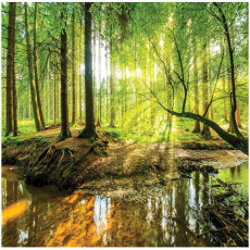 Papier peint forêt Soleil pour chambre à coucher salon papier peint intissé 400x280