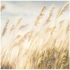 Papier peint photo herbe de pampa nature chambre salon papier peint intissé 350x250